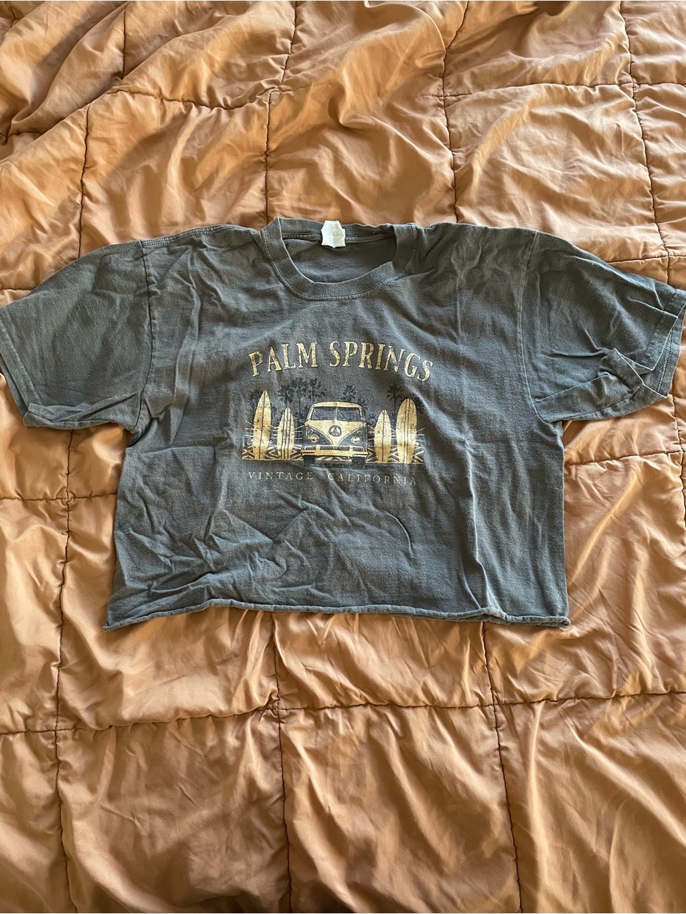 Gildan Palm Springs Graphic Crop Tee - Charcoal with Gold Print